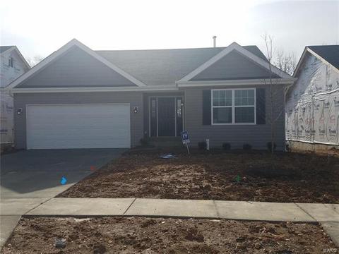 450 Dusty Brook Dr, O'fallon, MO 63366 photo 1