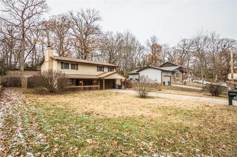 413 Montbrook, O'fallon, MO 63366 photo 21