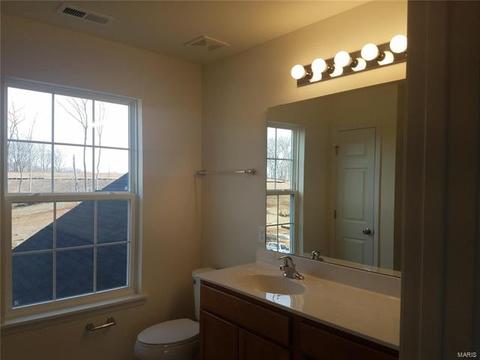 422 Dusty Brook Dr, O'fallon, MO 63366 photo 10