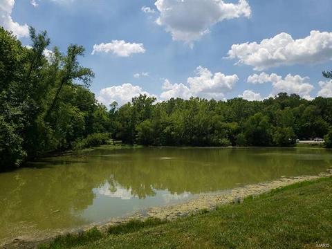 17286 Hilltop Ridge Dr, Eureka, MO 63025 photo 37