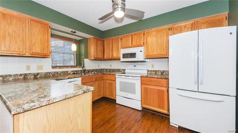 16 Griesenauer Ct, O'fallon, MO 63368 photo 9