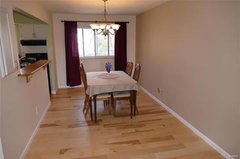 1117 Briarhurst Dr, Manchester, MO 63021 photo 8