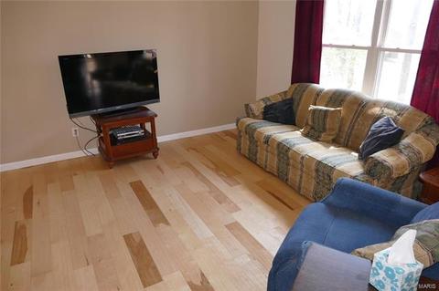 1117 Briarhurst Dr, Manchester, MO 63021 photo 5