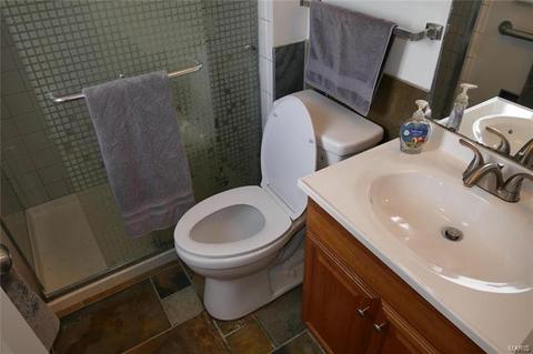 1117 Briarhurst Dr, Manchester, MO 63021 photo 20