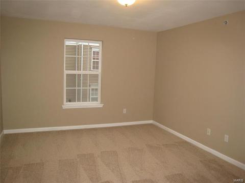 7203 Spring Creek Ln, O'fallon, MO 63368 photo 8