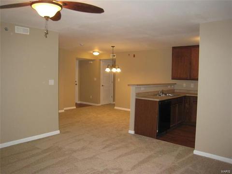 7203 Spring Creek Ln, O'fallon, MO 63368 photo 5