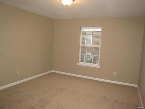 7203 Spring Creek Ln, O'fallon, MO 63368 photo 7