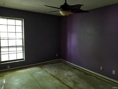 2448 Forest Shadows, Saint Louis, MO 63136 photo 4