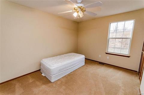391 Lauren Lndg, Ballwin, MO 63021 photo 24