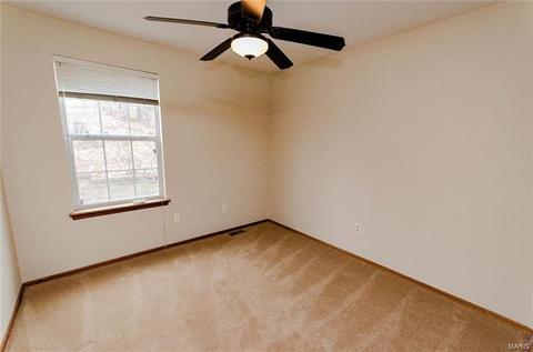 391 Lauren Lndg, Ballwin, MO 63021 photo 23