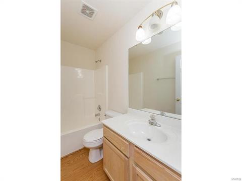 9 Millers Ct, O'fallon, MO 63366 photo 41