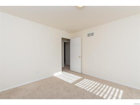 9 Millers Ct, O'fallon, MO 63366 photo 39