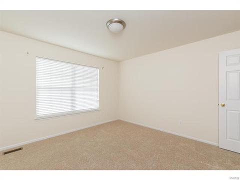 9 Millers Ct, O'fallon, MO 63366 photo 35