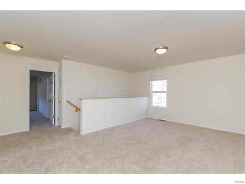 9 Millers Ct, O'fallon, MO 63366 photo 22
