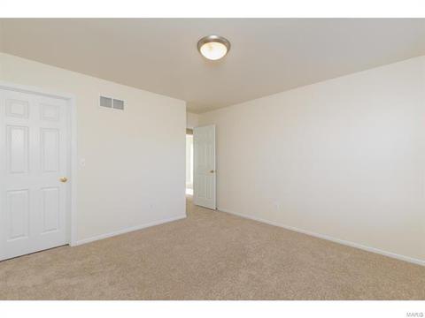 9 Millers Ct, O'fallon, MO 63366 photo 33