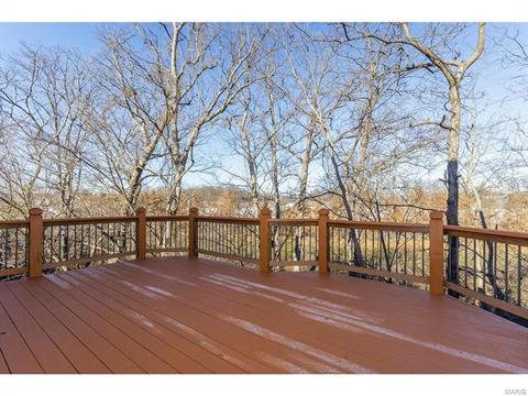 9 Millers Ct, O'fallon, MO 63366 photo 19