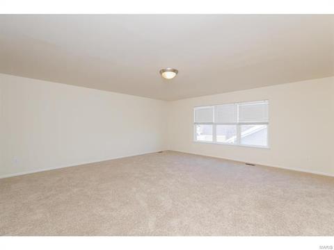 9 Millers Ct, O'fallon, MO 63366 photo 25