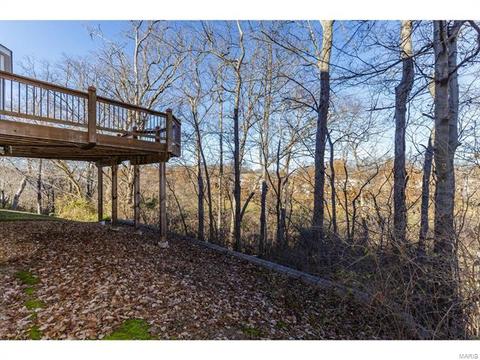 9 Millers Ct, O'fallon, MO 63366 photo 42