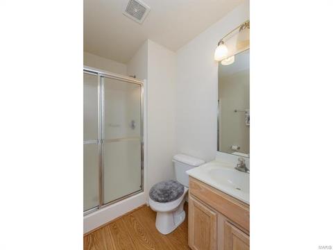 9 Millers Ct, O'fallon, MO 63366 photo 21