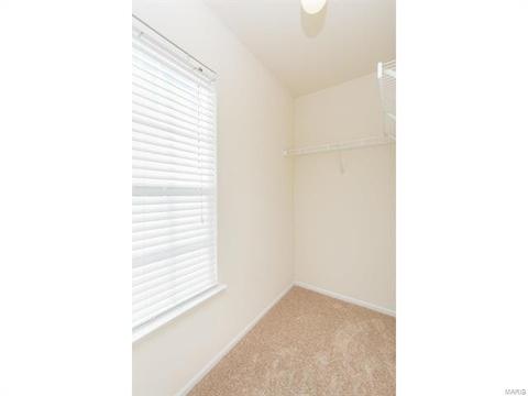 9 Millers Ct, O'fallon, MO 63366 photo 40