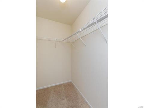 9 Millers Ct, O'fallon, MO 63366 photo 37