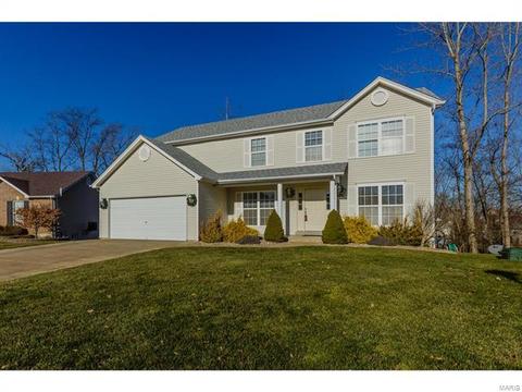 9 Millers Ct, O'fallon, MO 63366 photo 43