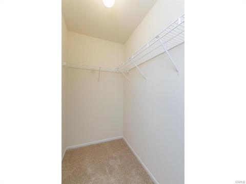9 Millers Ct, O'fallon, MO 63366 photo 34