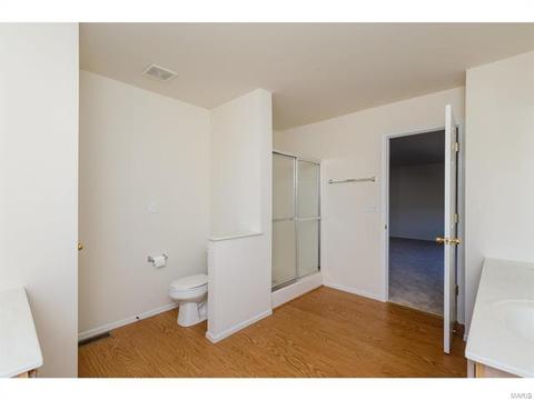 9 Millers Ct, O'fallon, MO 63366 photo 30