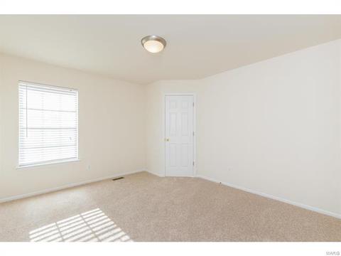 9 Millers Ct, O'fallon, MO 63366 photo 38