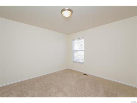 9 Millers Ct, O'fallon, MO 63366 photo 32
