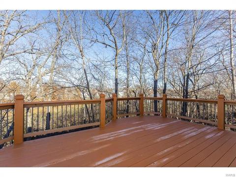 9 Millers Ct, O'fallon, MO 63366 photo 18