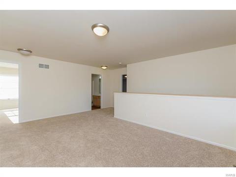 9 Millers Ct, O'fallon, MO 63366 photo 24