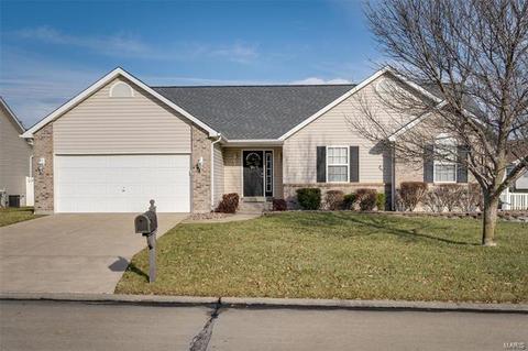 11 Deer Pointe Ct, O'fallon, MO 63366 photo 30