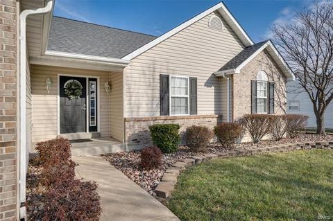 11 Deer Pointe Ct, O'fallon, MO 63366 photo 28