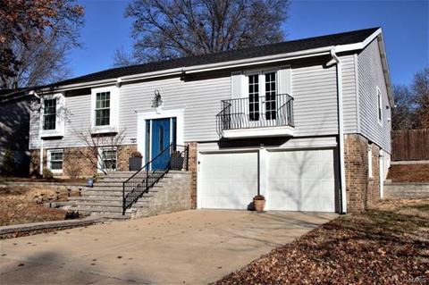 382 Sunfield, Ballwin, MO 63011 photo 39