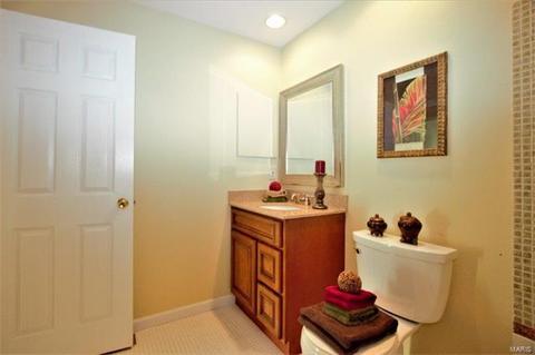 382 Sunfield, Ballwin, MO 63011 photo 31