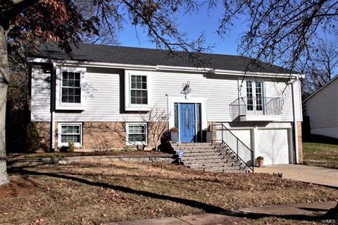 382 Sunfield, Ballwin, MO 63011 photo 40