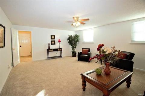 382 Sunfield, Ballwin, MO 63011 photo 19