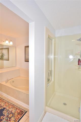 1008 Hemingway Ln, Weldon Spring, MO 63304 photo 10