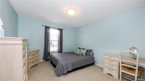 1041 Pebble Beach Dr, O'fallon, MO 63366 photo 20