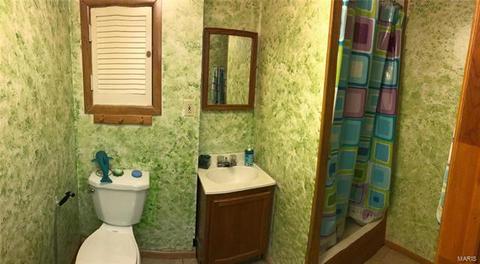 332 Whitehall, Manchester, MO 63021 photo 16