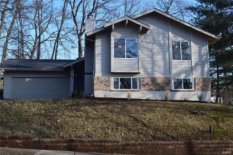 430 Holly Garden Ct, Ballwin, MO 63021 photo 1