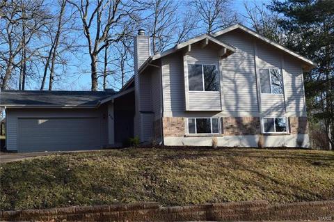 430 Holly Garden Ct, Ballwin, MO 63021 photo 45