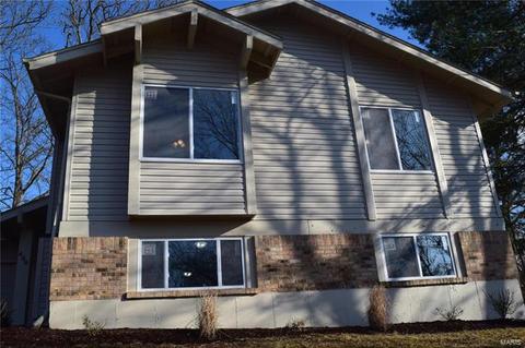 430 Holly Garden Ct, Ballwin, MO 63021 photo 44