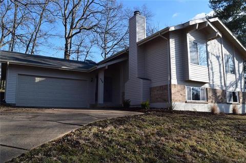 430 Holly Garden Ct, Ballwin, MO 63021 photo 43