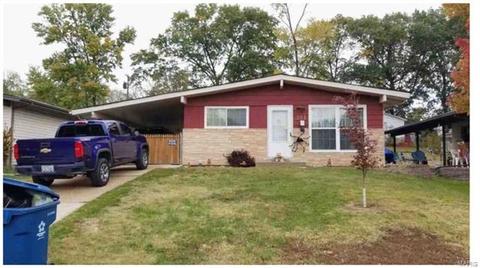 341 Saint Lawrence, Ballwin, MO 63021 photo 1