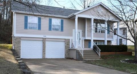 1506 Berry Leaf Ct, Ballwin, MO 63021 photo 1