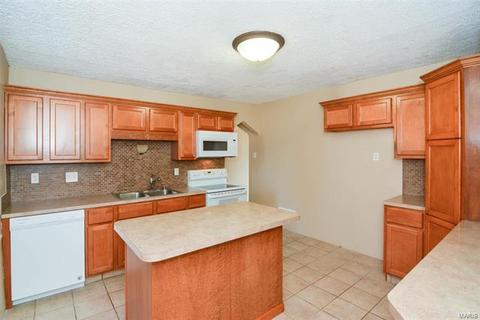 3995 Jane Ave, Saint Ann, MO 63074 photo 15