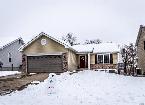 511 Deer Brook Dr, O'fallon, MO 63366 photo 2