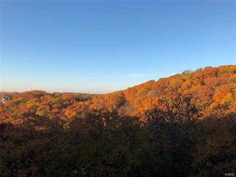 17378 Hidden Vly, Wildwood, MO 63025 photo 64